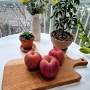 진이농장 이미지