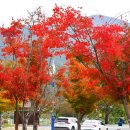 동명지수변생태공원 이미지