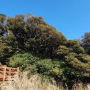 욕지여관 이미지