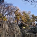 오금공원2(테니스장) 화장실 | 서울 송파구 오금동 오금공원 나들이 산책을 하였습니다.