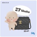 31140-8-27-18 | 임신 27주, 입체초음파 후기 🤰 얼굴 반쪽 가림… 그래도 행복했던 하루 (잘 나오는 법까지!)| 임신일기 #18