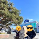 도산서원&예끼마을테마 | 안동 순환버스타고 예끼마을,도산서원 방문한 후기