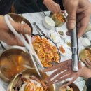 [전남 영암 독천 맛집 후기] 영암 맛집 탐방: 벚꽃낙지