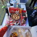 2025 대청호 벚꽃길 마라톤 대회 이미지