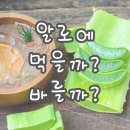 오오점핑 이미지