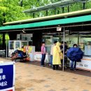 인천대공원 야영장 이미지