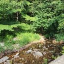 곰배령 쥐와 돼지 이미지