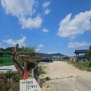 황계순만두