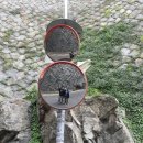 지코당구장 이미지