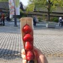 마왕탕후루 | 전주여행 길거리 음식(문어꼬치,자몽맥주,마왕육전)후기