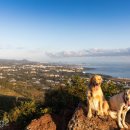 명월목장 이미지