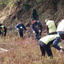 한다리마을 이미지