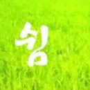 프로Professional 이미지