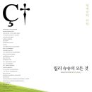 금별맥주충정로역점 | 24년 3월 영화공감 모임 후기 (릴리슈슈의 모든것,립반윙클의 신부,청년 예술청)
