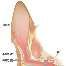 고강동물병원 이미지