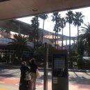 달숲하우스 이미지