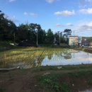 혜화농장 이미지