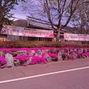 삼귀리 경로당 Daum카페
