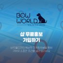 원애견샵 이미지