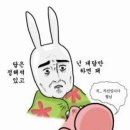 해변의 터마루 | 2일차(2)_주방용품에 미친 자의 쓰리비포터즈, 마루다케 주방상사, 칼디커피 팜, 에비스야 우동...