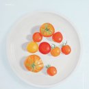 성남큐브미술관 이미지