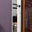 레이디핏 여성전용 피트니스 이미지