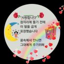오늘도예쁘게 이미지