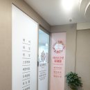케이디펫 | 부천애견미용 시 애견호텔이 서비스되는 케이디뷰티&amp;펫