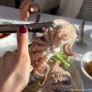 보성미가 | 광주맛집 광주학동맛집 봄쭈꾸미맛집 알쭈꾸미맛집 ‘보성수산’직판장 내돈내산후기