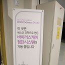 에이스침대 대전월평점 | 대전신상호텔 컨티뉴호텔 스탠다드룸 숙박 후기