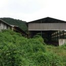 한우축사 이미지