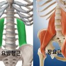 바디앤솔세종 네이버블로그