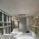 포더독스 강아지 강서 마곡점 네이버블로그