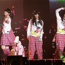 핑클 카카오 검색결과