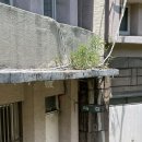 계성중학교 이미지