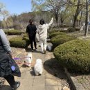 산책갈까 이미지