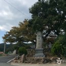 군학마을 군영구미 이미지