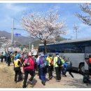 꽃길속.. 모악산 그리고 행복한... 산우님들 이미지