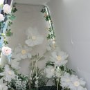 동남(풍세)-18-04 | 천안 풍세 브런치카페 시유당 포토존+자연뷰 맛집 리뷰