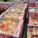 삼복마트 이미지