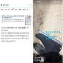 트루디 비뇨 아스파트르산(아미노산) 동물성단백질 남성호르몬과 뭔 관련 아미노산 주파수요약 아스파르트산 아르기닌 복합체 꼬 짤로그꼬 사칭 이미지