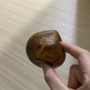카페] 넓은 매장과 다양한 베이커리, 트렌디한 디저트에 착한 가격까지 갖춘 굿모닝베이커리 방문 후기🏋️🍞🥖🥐