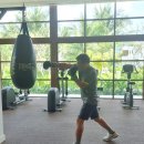 개폼난다 이미지