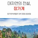 장가계 - 중구 당디로 64 | 장가계