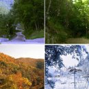 계명산자연휴양림 이미지