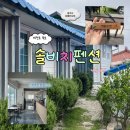 힐링의섬집 | 통영 비진도 숙소 : 솔비치 펜션 (충격의 도가니 애플민트방)