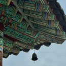 화려하지 않은데 오래 남는 곳, 걷는 것만으로도 힐링 ｜화성 용주사 후기