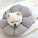 1371 쇼핑하우