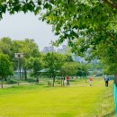 하천(유등천3) 이미지