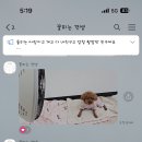 꽃피는견생 인천애견유치원 | [인천애견호텔추천/인천애견유치원] 꽃피는견생